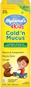 Hyland의 아이들을 위한 찬 약 2와 위로, 찬 'n Mucus 기복 액체, Mucus와 혼잡의 자연적인 기복, Runny Nose, 기침, 4개 Ounces
