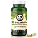 Silver Lining Herbs 전체 개 건강 보조 식품 10 K9 Foundation - 개 Liver, Kidneys, Digestion, Vitality & Immune 시스템 지원 - 90 캡슐