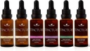 식물 치료 유기 작은 조각 초심자 세트 30 mL 유기 Ashwagandha의 각각, 아시아 인삼, Echinacea 혼합, Elderberry, 레몬 Balm & 심황