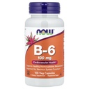 지금 음식 B-6 100mg 100 캡슐