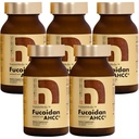 Fucoidan은 AHCC® Brown Seaweed Immunity Supplement와 함께 고순도 유기 Mekabu Mozuku Agaricus 5 병 - 800 야채 캡슐 일본제