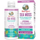 MaryRuth Organics Sea Moss with Spirulina and Chlorella Liposomal | Chlorophyll | Dandelion Root | Superfood | Ultra Absorption | Vegan | Non-GMO | 글루텐 프리 | 7.6 fl oz | 15 서빙