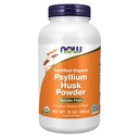 NOW 식품 보조 식품, 심황 Husk 분말, 인증 유기, 비 GMO 프로젝트 검증, 수용성 섬유, 12-Ounce