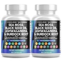 청결한 Nutraceuticals 바다 Moss 까만씨 기름 Ashwagandha Turmeric Bladderwrack Burdock & Elderberry Manuka Dandelion 황색 독 Iodine Chlorophyll ACV - 2Pack를 가진 비타민 C 비타민 D3