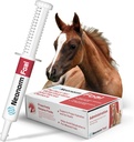 Jaguar Animal Health Foal - Proper Hydration & Bowel Health 지원을위한 Equine Supplement Paste - Pre-Weaned Foals (30 mL) 용 식물 기반 제품