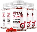(5 팩) Vital 성장 XL 남성 Gummies - 남자의 성능 Gummies 1050MG Vital GrowXL 혼합, Vital 성장 거미 고급 공식, 5 개월 동안 300 Gummies