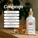 Rainbo - Cordyceps 버섯 Tincture - 이중 추출물 버섯 보충 - 면역 지원, 에너지, 액체 Cordyceps 보충교재, 채식주의자, 비 GMO, 3.4 fl oz