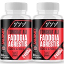 2400mg Fadogia Agrestis Tongkat Ali 보조 식품 - 제 3 자 테스트 - 1400mg Fadogia Agrestis & 1000mg Tongkat Ali, 최대 강도, 근육 질량 및 운동 성능, 2 팩