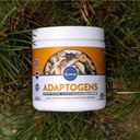 TruWild Adaptogens Vegan 캡슐 보충교재 w/Ashwagandha + Maca w/Full 스펙트럼 버섯 – 모든 자연 – 40의 서빙