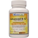 경직자 잠수함 언어 비타민 B12 (1000 mcg), B6 (5mg), Folic 산 (400 mcg) & Biotin (25mcg) - Methylcobalamin 비타민 B-12 (250 정제)로 공식화하는