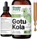 개를위한 영원히 강아지 Gotu Kola 드롭 - Gotu Kola Extract & Centella Asiatica for Brain Health Support - 모든 품종 및 크기의 개를위한 영양 두뇌 보충 - 4 oz