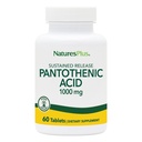 NaturesPlus Pantothenic Acid, 지속 방출 - 1000 mg, 60 정제 - 고순도 비타민 B5 보충 - 채식주의 자, 글루텐 무료 - 60 서빙