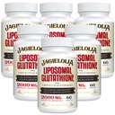 L-Serine, L-Glycine & Sulforaphane를 가진 Liposomal 글루타티온 2000 mg – 흡수를 강화하는 활동적인 L-Glutathione 유일한 공식화 - 주인 산화 방지제, 해독 & 면역성이 있는 | 360 Softgel