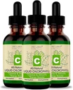 Chlorophyll 물 자연적인 Chlorophyll 농축물 (3 팩)를 위한 액체 하락