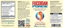 FUCOIDAN FORCE® - 24 병 팩