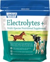 Sav-a-Caf Electrolytes PlusTM 보충교재 | 6 파운드 (6 LB) 가방