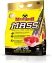 MAMMOTH 질량: 무게 익스텐더, 높은 칼로리 단백질 분말 운동 스무디 Shake, 식사 보충, 낮은 설탕, Whey Isolate 농축물, Casein 단백질 혼합, 높은 단백질 (Strawberry, 5lb)
