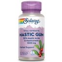 SOLARAY Mastic 껌 추출물 500 mg 45 조사
