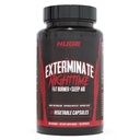 큰 보충 교재는 남자 & 여자를 위한 Thermogenic 뚱뚱한 가열기, 지원 체중 감소를, 강화합니다 Metabolism, 부스트 Caloric Expenditure & Appetite 억제 - 100% 자극제 자유로운 (Caffeine 없음)