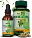 KIKI 녹색 Mullein 캡슐 & 액체 하락 뭉치 - Mullein 잎 추출물 보충교재, 90의 캡슐 + 2개의 fl oz - 호흡 & 면제 지원을 위해, 더 나은 Lung 기능, Lung Cleanse & 기복