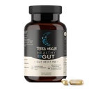 TERRA ORIGIN 건강한 구트 리셋 PM | 60 Veggie 캡슐 | 수면 및 사이클링을위한 자연 수면 보조 보충교재 | GABA, L-Tryptophan, Melatonin, L-Glutamine, Licorice Root, Slippery Elm Root