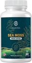 Sea Moss Gummies — Immune 힘 & 피부 건강, 유기 아일랜드 모스 거미 곰, 60 조사, Vegan, Endurance & 건강을위한 Superfood Chewable 보충교재