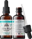 Gotu Kola Tincture, 유기 Gotu Kola 추출, Gotu Kola 드롭 (Centella Asiatica) 건조 허브