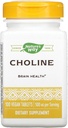 NATURES WAY 500Mg 100 Tb 콜린, 100 CT