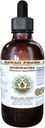 Echinacea 알콜 자유로운 액체 추출물, Echinacea (Echinacea Angustifolia)에 의하여 말린 뿌리 글리세라이드 하와이 Pharm 자연적인 초본 보충교재 4개 oz