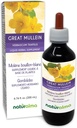 Naturalma Great Mullein 또는 Common Mullein (Verbascum thapsus) 꽃과 잎 알코올 - 무료 Tincture - 6.76 fl oz 액체 추출물 - 초본 보충 - Vegan