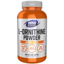지금 음식 스포츠 영양, L Ornithine 분말, 단백질 Metabolism* 및 Urea Detox*, 아미노산, 8-Ounce