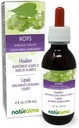 Naturalma Hops (Humulus lupulus) strobilus 또는 Cone (여성 꽃) 알코올 - 무료 Tincture - 드롭의 4 fl oz 액체 추출물 - 초본 보충 - Vegan