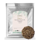 Starwest Botanicals Burdock Root Organic - 산화 방지제의 천연 소스, 차, 쌀, 수프, & 스튜, 컷 & Sifted, 공인 Kosher, Non-GMO - 대량 1 lb 가방