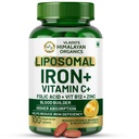 HIMALAYAN ORGANICS 유기 킬레이트 철 비타민 C, B12, 아연 및 Folic 산 | Boost Hemoglobin 레벨 | 농축 수준 향상, 에너지 및 혈액 빌딩-120 Veg 정제
