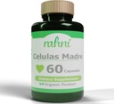 Celulas Madre, 줄기 세포 증강 인자, 비 GMO의 노화 방지, Spirulina 200mg의 보충 세포, 60의 캡슐