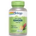 SOLARAY Ginger Root 1100mg | 건강한 소화, 관절 및 운동 및 치약 지원 | 전체적인 뿌리 | Non-GMO & Vegan | 180 VegCaps