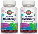KAL Jurassic Elderberry Kids Gummies | 건강한 면역 지원 | USDA Organic, Vegan, Gluten Free | 30 Serv, 60 Ct (패키지)