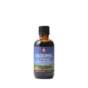 WishGarden Herbs Chlorophyll & Friends - Nettle Leaf, Holy Basil, Moringa Leaf & Peppermint Leaf와 Chlorophyll Liquid Drops, 에너지 증가, 건강한 면역, 스트레스 응답, 2oz