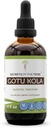 Tribe Gotu Kola Tincture 알코올 액체 추출의 비밀, Gotu Kola (Centella Asiatica) 건조 허브 (4 FL OZ)