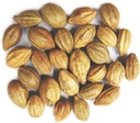 Naturals Terminalia Chebula | 가덕카이|하드 | Inknut | 하리타키 인디언트 허브(200g(7 oz))