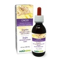 Naturalma Ginger (Zingiber officinalis) Rhizome 알코올 프리 탄약 - 드롭의 4 fl oz 액체 추출물 - 초본 보충 - Vegan