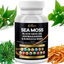 바다 모스 3000mg 검정씨 기름 2000mg Ashwagandha 1000mg Bladderwrack 1000mg Turmeric 1000mg Burdock 1000mg 비타민 C & D3 Elderberry Manuka Dandelion 황색 독 엽록소 ACV
