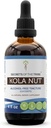 Tribe Kola Nut Tincture Alcohol-Free Extract의 비밀, Kola nut (Cola Acuminate) 건조 너트 (4 FL OZ)