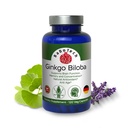 은행나무 Biloba, 기억, 초점 & 뇌 기능 지원, 산화 방지제 Rich의 식물 기초를 두어, GMP의 초본 Nootropic 채식주의자 캡슐, 120의 조사 (1의 포장)