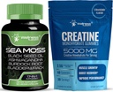 WELLNESS LABSRX 아일랜드어 Sea Moss 캡슐 - 크레아틴 Gummies 5000mg