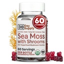 Sea Moss Gummies with Lions Mane Mushroom - 아일랜드어 Moss, Reishi, Cordyceps, Chaga & Turkey Tail Supplement와 Sea Moss Gel 대안 - 커피없이 초점 Gummy - 60 ct