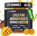 EcoWise Wellness Creatine Monohydrate Gummies 5000 mg의 망고 풍미, 120 설탕 자유로운 Vegan Chews, 매일 루틴을 위한 Creatine 보충교재