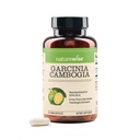 Naturewise Garcinia Cambogia - 60 % HCA 농도 추출물, 체중 목표 및 에너지 수준을위한 자연 지원 - Vegan, Non-GMO, 글루텐 무료 - 90 캡슐 [1-3 개월 공급]