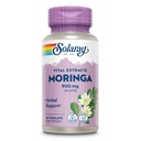 SOLARAY Moringa 캡슐 900 mg - 135 mg Saponins와 Moringa 보충 - 초본 지원 w/Naturally Occurring 비타민, 무기물, 아미노산, 채식주의자, 60 일 보증, 30 봉사, 60 VegCaps