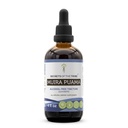 Tribe Muira Puama Tincture 알코올 자유로운 액체 추출물, Muira Puama (Ptychopetalum Olacoides) 말린 Bark (4 FL OZ)의 비밀